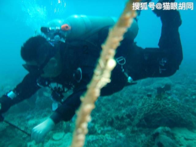 怪物猎人世界